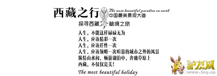 ����_01.jpg